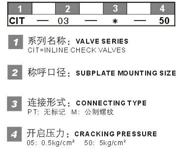 CIT型號(hào)說明.jpg